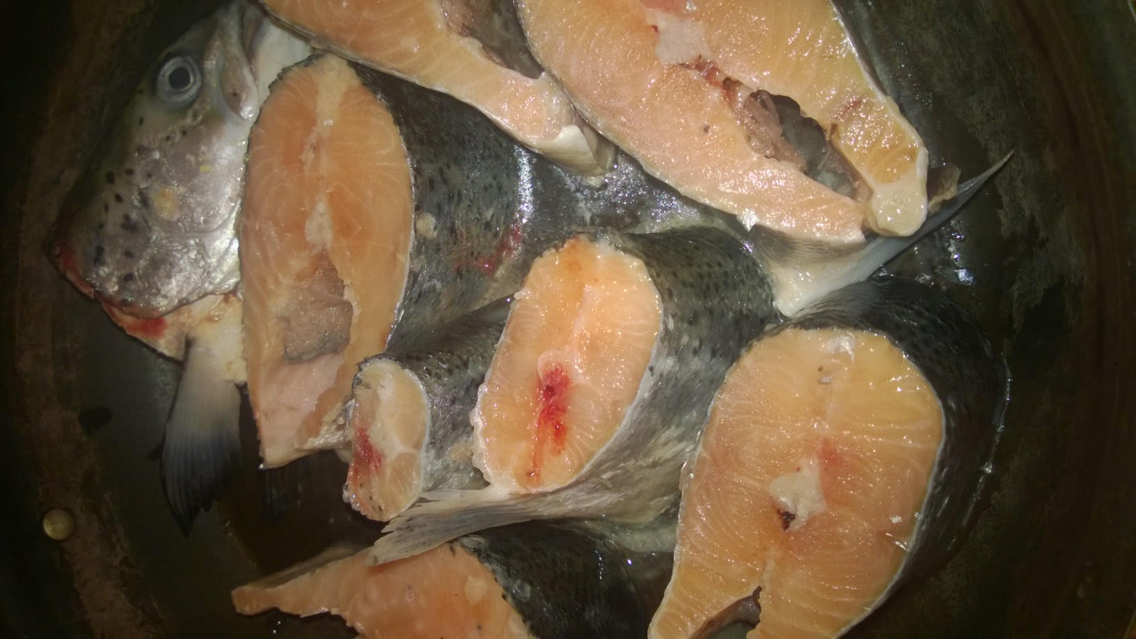 Salmon pieces in pan